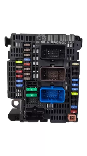 C491EN - BSM Z02/ DELPHI BSM-Z02-01 BSMZ0201 66231300/ SEE 9810296080