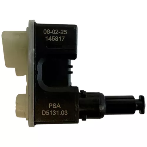C44RS - CONTROL MOTOR/ R8/ PSA D5131.01 D513101/ SEE 9810871780