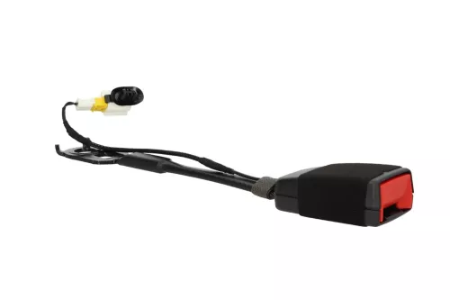 P84E/ LEFT + RIGHT FOR THE SAME/ + INDICATOR/ 9809502477